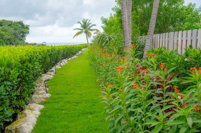 Landscape construction in the Florida Keys